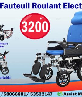Fauteuil Roulant électrique confort